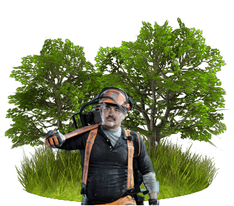 pro-forest-img